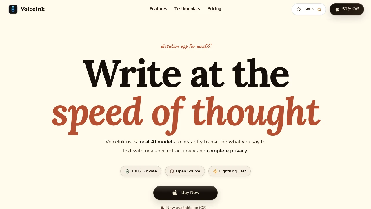 Screenshot of the VoiceInk homepage