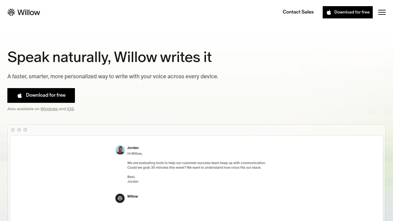 Screenshot of Willow Voice website
